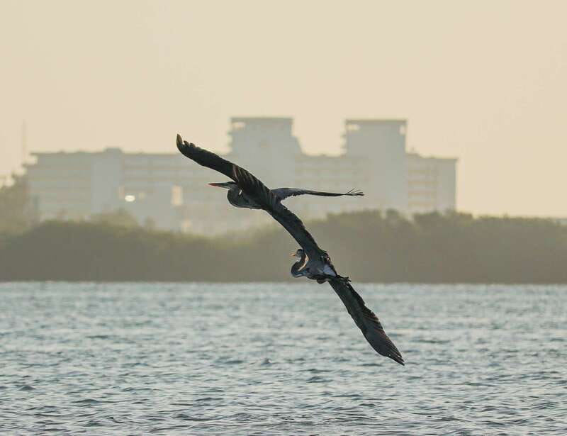 Cancun: Morning Kayak Adventure - Double or Single Kayaks, and How That Affects Your Day