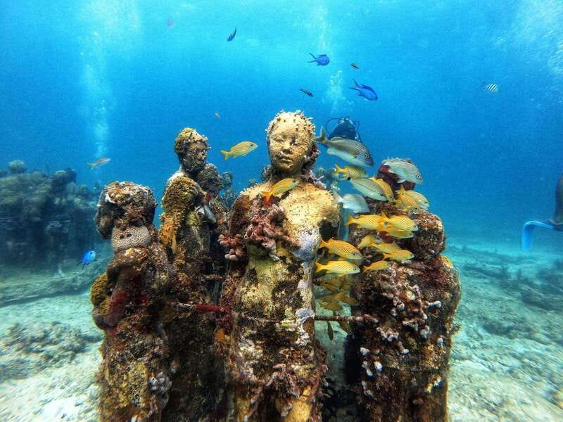 Cancun: Musa Underwater Museum & Reef Discover Scuba Diving - Key highlights you’ll feel fast
