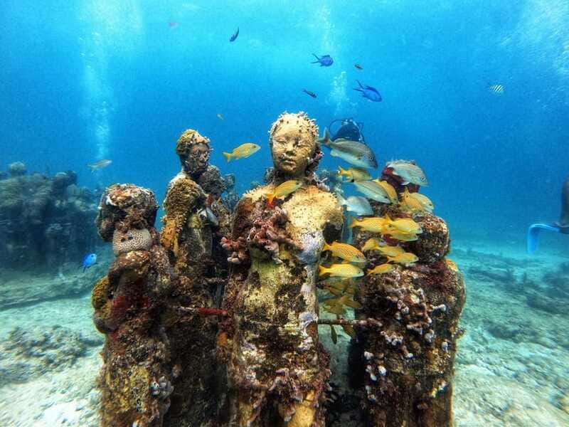 Cancun: Musa Underwater Museum & Reef Discover Scuba Diving - Reef session in the Caribbean: wildlife, not just scenery