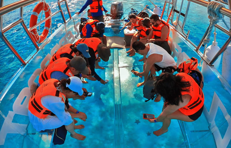 Cancún: Nichupté Lagoon Transparent Boat Tour with Drinks - Who This Tour Fits Best, and Who Should Skip It