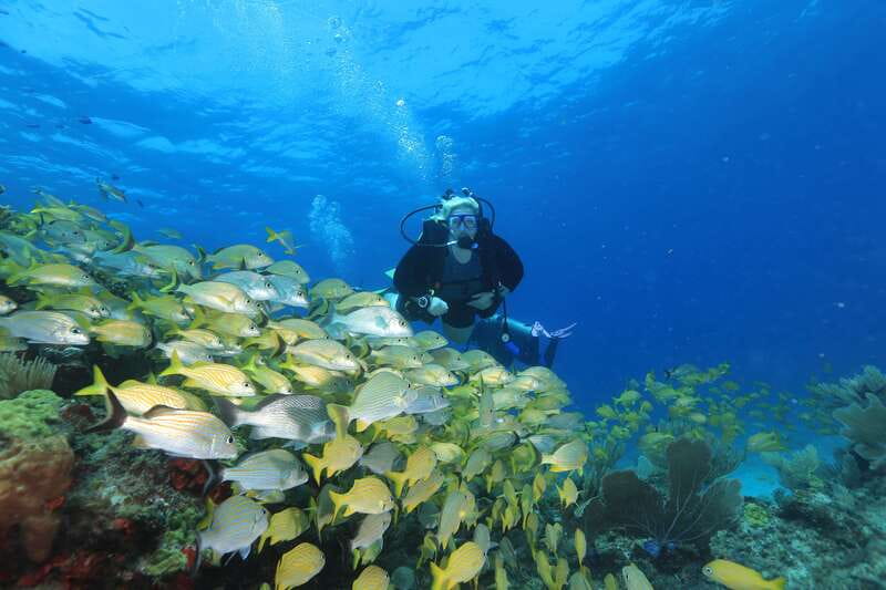 Cancun: Scuba Diving for Beginners, 2 Dives - Morning Schedule From 8:00 AM Check-In
