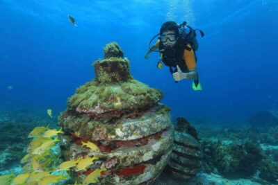 Scuba Diving for Beginners, 2 Dives