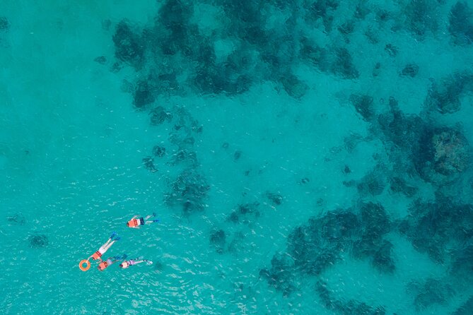 Cancun: Sea turtles and Cenote Tour With Pick Up from your Hotel - Price and value, the fees that change the math