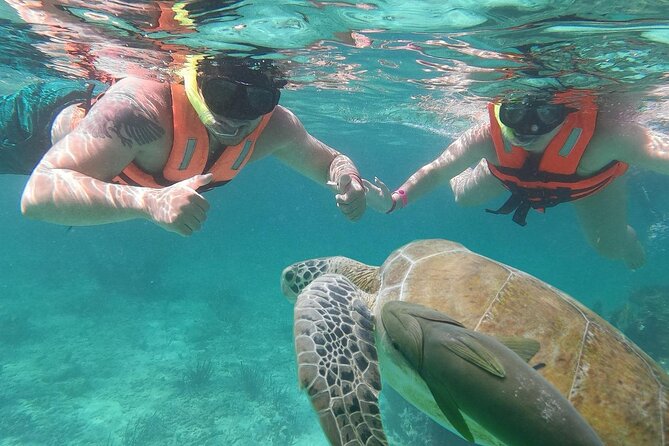 Cancun: Sea turtles and Cenote Tour With Pick Up from your Hotel - Should you book the Sea turtles and Cenote tour from Cancun?