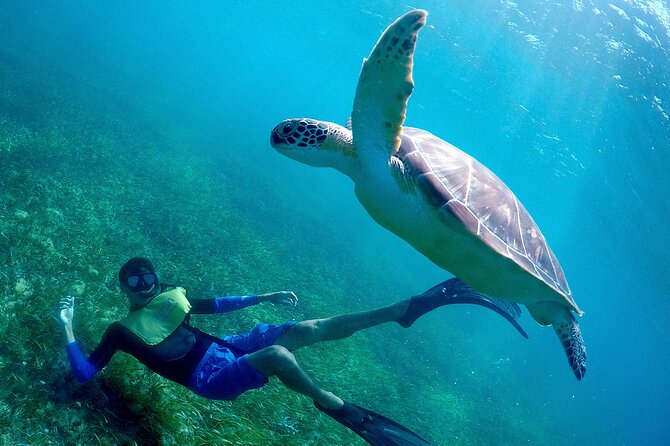 Cancun Snorkeling Adventure: Underwater Museum, Reef & Shipwreck - Stop 2 at El Meco reef: sea turtles, rays, and the shipwreck swim