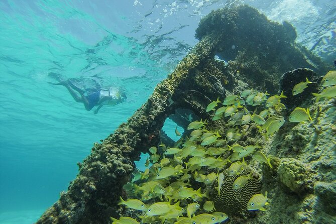 Cancun Snorkeling Adventure: Underwater Museum, Reef & Shipwreck - Small group reality: more attention without feeling crowded