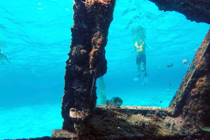 Cancun Snorkeling Adventure: Underwater Museum, Reef & Shipwreck - What to bring, and the small comfort tips that matter