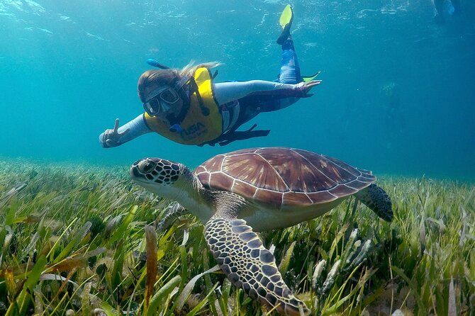 Cancun Snorkeling Adventure: Underwater Museum, Reef & Shipwreck - The 4-hour game plan, from marina to reef to back again