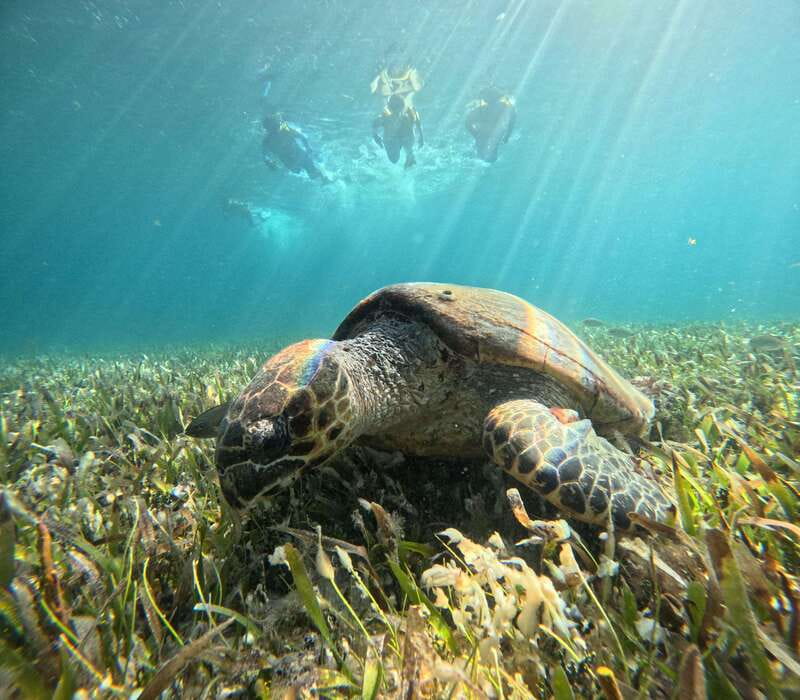 Cancun: Snorkeling Boat Tour with Gear - Why This Cancun Snorkeling Route Hits So Many Places Fast