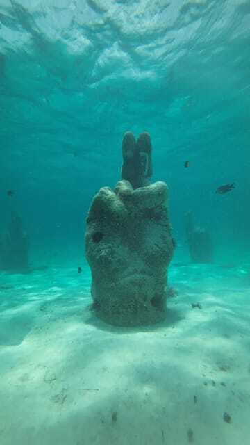 Cancun: Snorkeling Boat Tour with Gear - Guides, Group Energy, and What Happens Back on the Marina