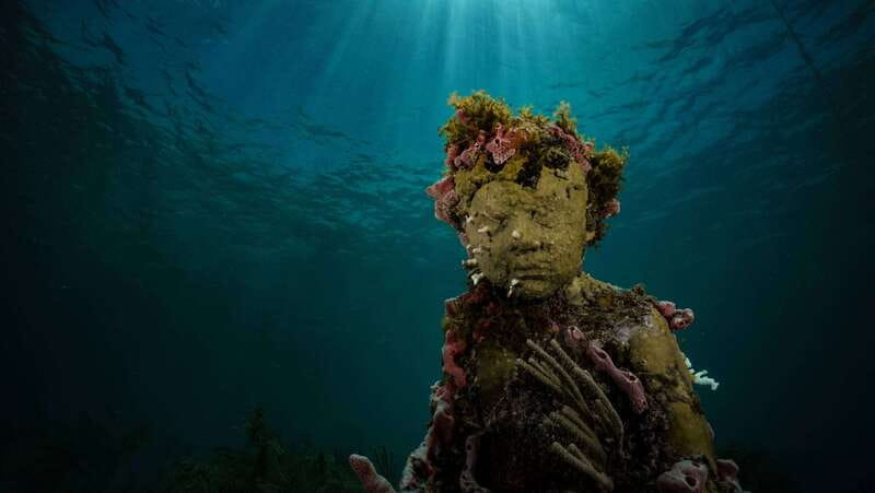 Cancun: Snorkeling Tour at MUSA The Underwater Museum - Key highlights worth planning for