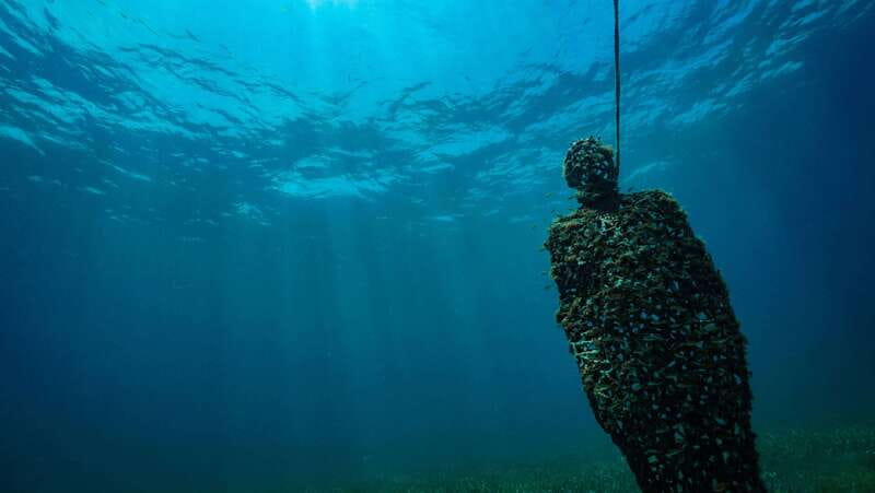 Cancun: Snorkeling Tour at MUSA The Underwater Museum - Should You Book This Cancun Snorkeling and MUSA Tour?