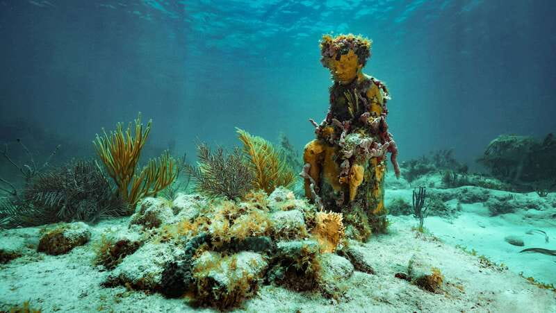 Cancun: Snorkeling Tour at MUSA The Underwater Museum - First Snorkel at MUSA: 400+ Life-Size Figures in a Living Reef
