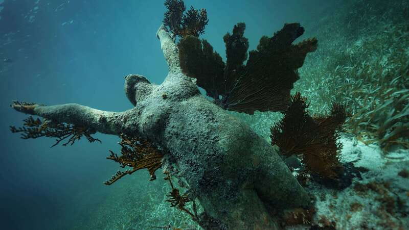 Cancun: Snorkeling Tour at MUSA The Underwater Museum - Manchones Reef Second Snorkel: Sea Turtles, Rays, and Busy Fish
