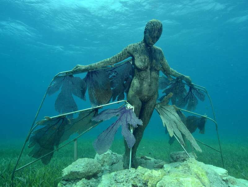 Cancun: Snorkeling Tour at MUSA The Underwater Museum - Price and Value: $58 Plus the $20 Dock Fee