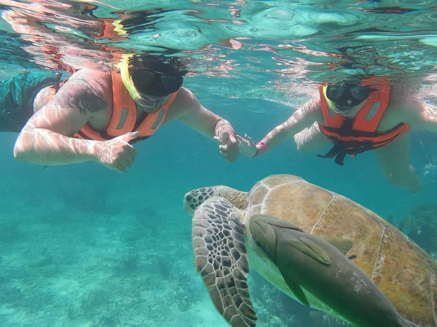 Cancun: Snorkeling tour with Sea Turtles & Cenote, half day. - Cenote Yax-Muul: Underground Swimming Under Limestone Light
