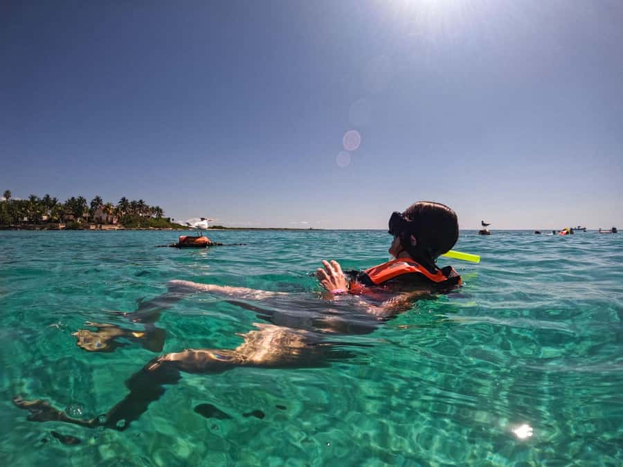 Cancun: Snorkeling tour with Sea Turtles & Cenote, half day. - Price and the Extra Per-Person Fee You Should Plan For
