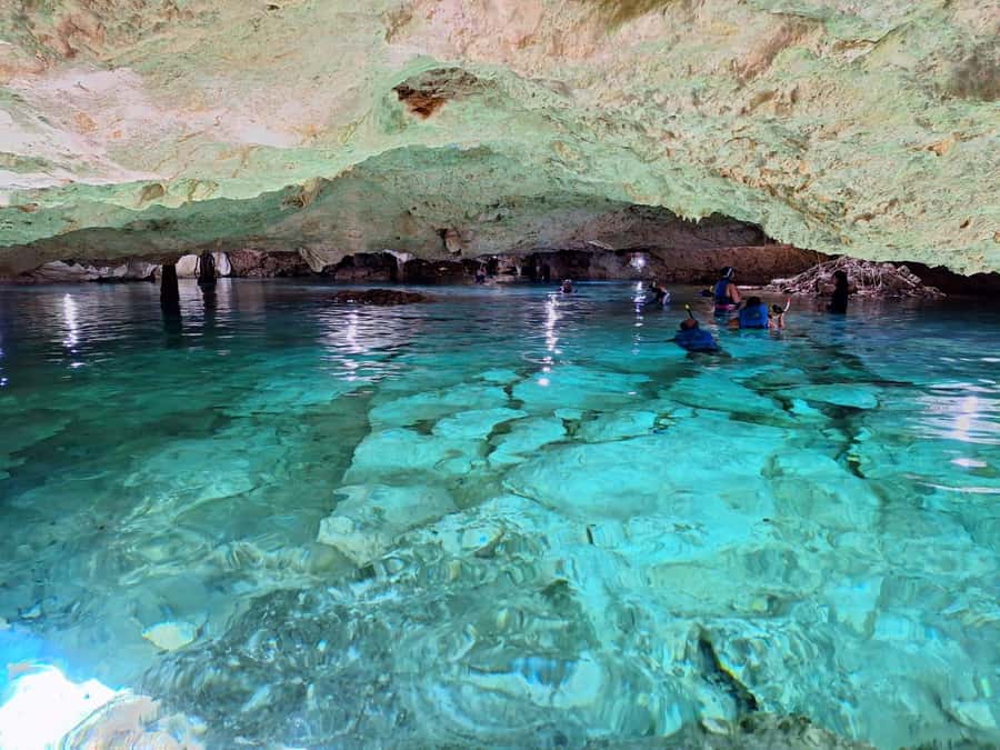 Cancun: Snorkeling tour with Sea Turtles & Cenote, half day. - What to Bring, and How to Prep Without Overthinking
