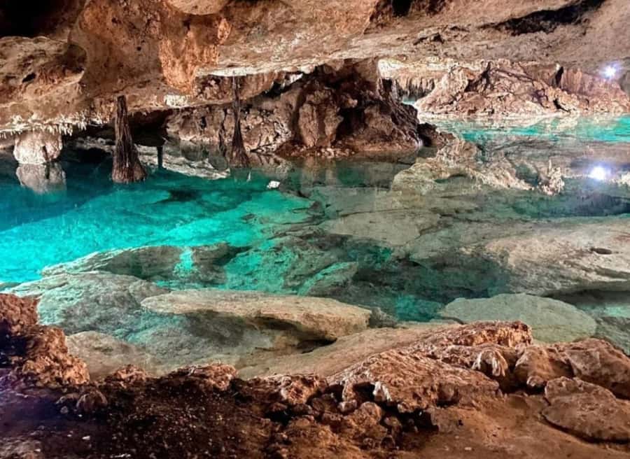 Cancun: Snorkeling tour with Sea Turtles & Cenote, half day. - Hotel Pickup, Van Timing, and How the 4 to 5 Hours Works