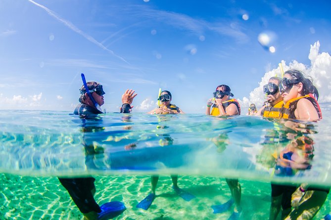 Cancun speedboat and snorkel tour: shared speedboat - Stop 2: Nichupte Lagoon canals, then snorkeling at Punta Nizuc