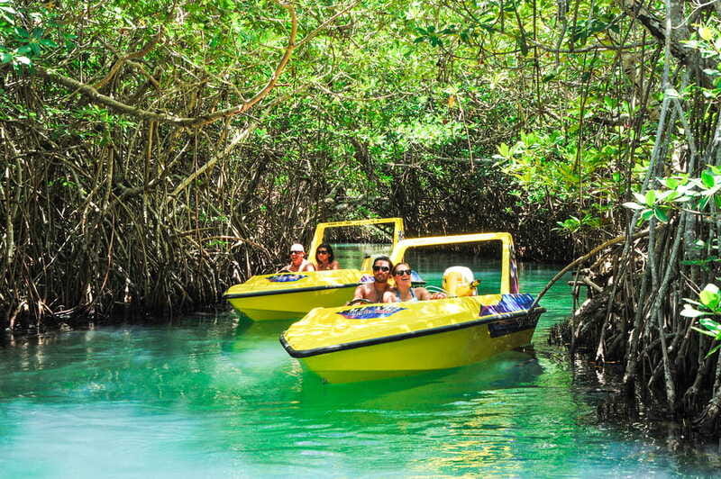 Cancun: Speedboat Mangrove Jungle & Snorkel Tour - Who should book this Cancun mangrove and snorkel tour