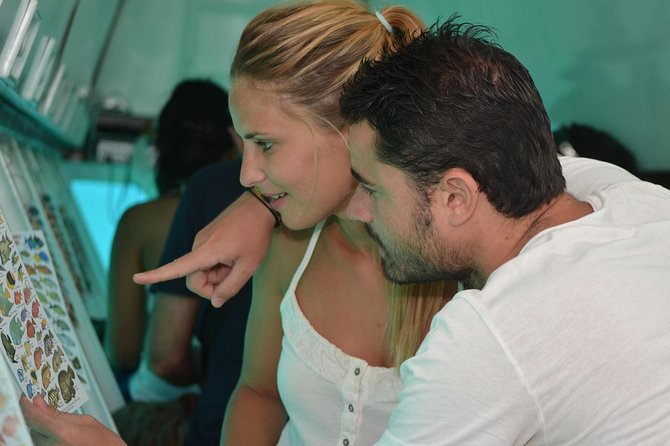 Cancun Submarine and Optional Snorkeling Tour - Stop at the Underwater Museum and Reef Look: MUSA Meets Real Marine Life