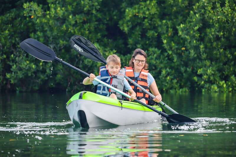 Cancun: Sunset Kayak Experience in the Mangroves - Why Nichupté Lagoon mangroves feel so different at sunset