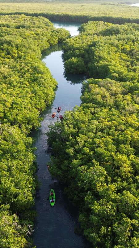 Cancun: Sunset Kayak Experience in the Mangroves - Safety briefing and a quick kayaking warm-up (the “you’ll be fine” part)
