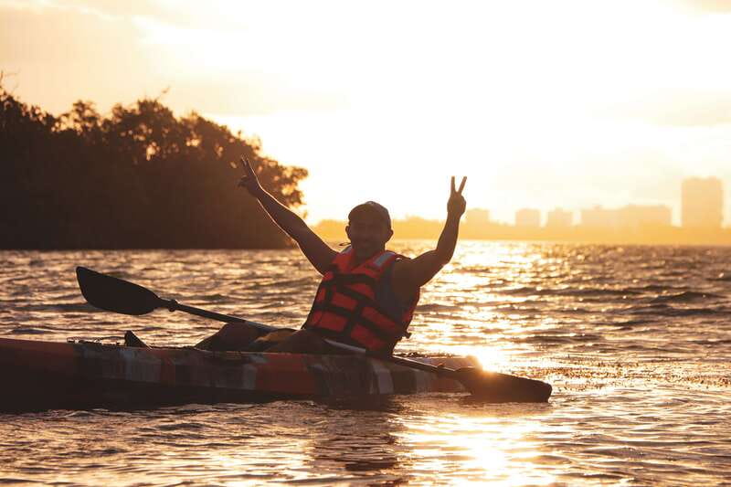 Cancun: Sunset Kayak Experience in the Mangroves - Wildlife in the mangroves: what to expect, and what not to force
