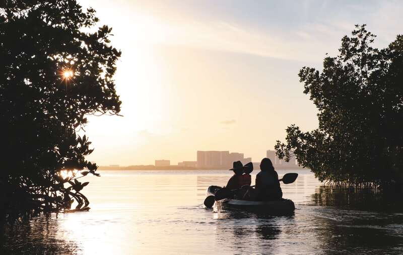 Cancun: Sunset Kayak Experience in the Mangroves - Price and value: is $47 a good deal?
