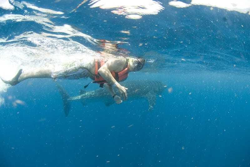 Cancún: Swim with Whale Sharks - Lunch and the Isla Mujeres break: more than just fuel