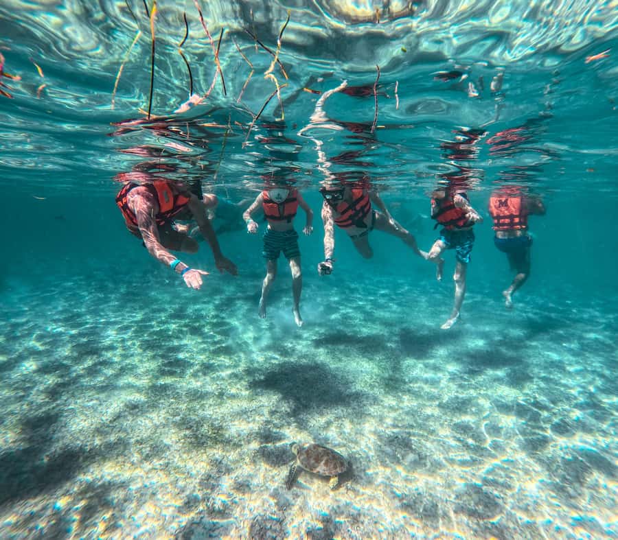 Cancun: Tulum Ruins, Akumal Turtles, Cenote & Caves Tour - Akumal Beach Turtle Snorkeling That Feels Like Wildlife, Not a Show