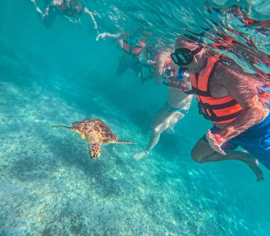 Cancun: Tulum Ruins, Akumal Turtles, Cenote & Caves Tour - The Food and Tastings That Make the Day Feel Local