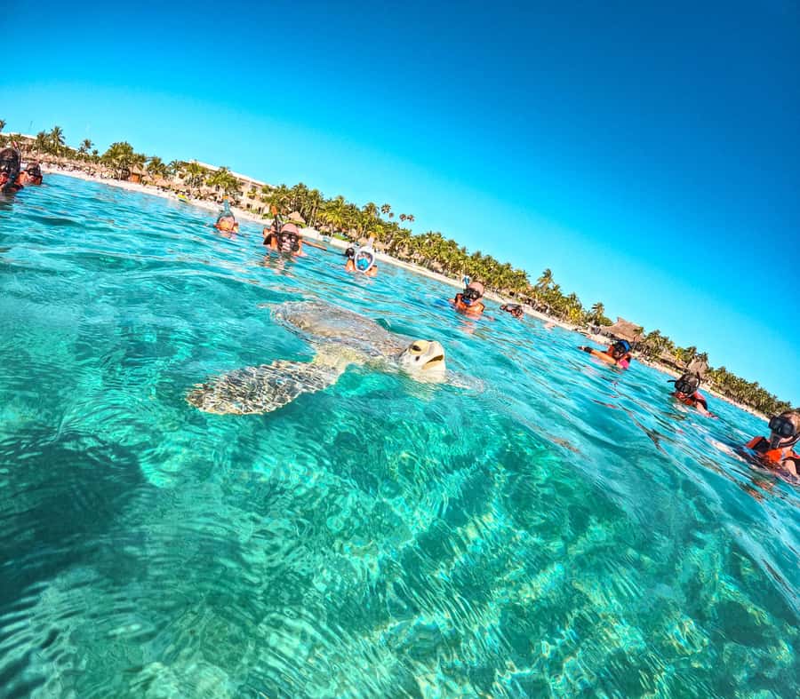 Cancun: Tulum Ruins, Akumal Turtles, Cenote & Caves Tour - What the Tour Schedule Means for You (Transit Time Included)