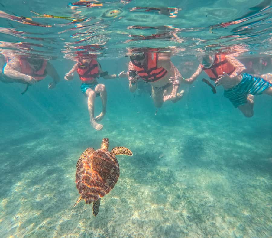 Cancun: Tulum Ruins, Akumal Turtles, Cenote & Caves Tour - Nohoch Nah Chich Cenote Caves, Plus Lunch in the Middle