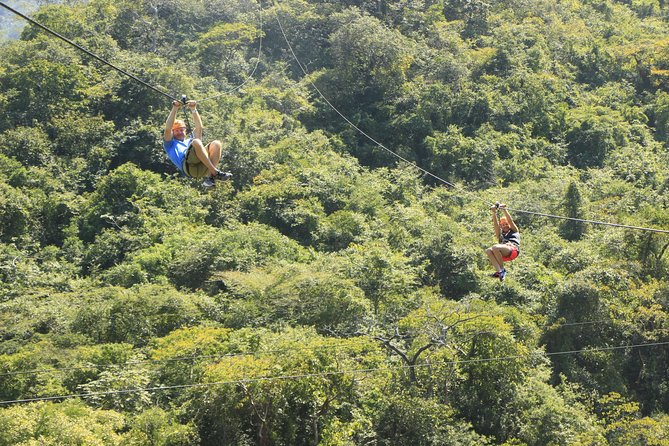 Canopy River Zipline Tour and Mule Ride - Who should book this tour, and who should skip it