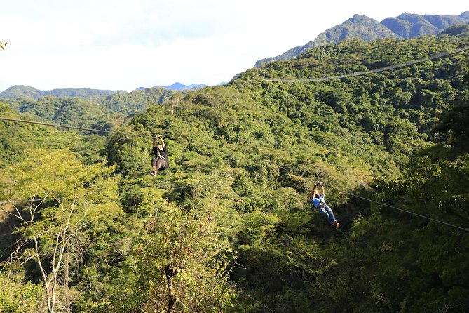 Canopy River Zipline Tour and Mule Ride - The 5-hour flow: ziplining, mule ride, tequila tasting