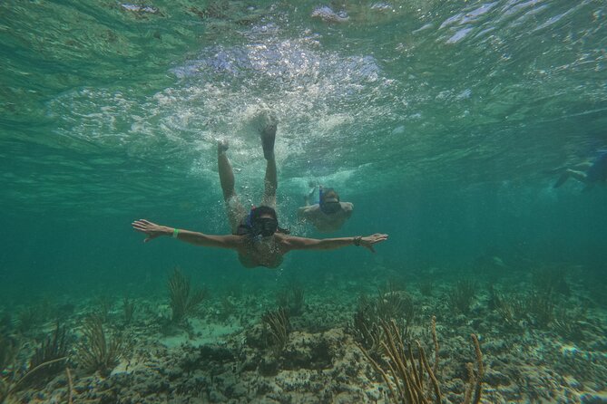 Catamaran Cruise in Riviera Maya With Snorkeling & Beach Club - Drinks and onboard energy: simple, but satisfying