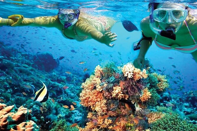 Catamaran Sailing to Isla Mujeres with Snorkeling, Lunch & Open Bar included - Price Reality: What the $19 Ticket Covers and the Fees to Budget