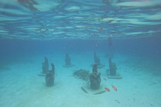Catamaran with Snorkeling and North Beach, Isla Mujeres - Price, Value, and the Real Costs to Budget For