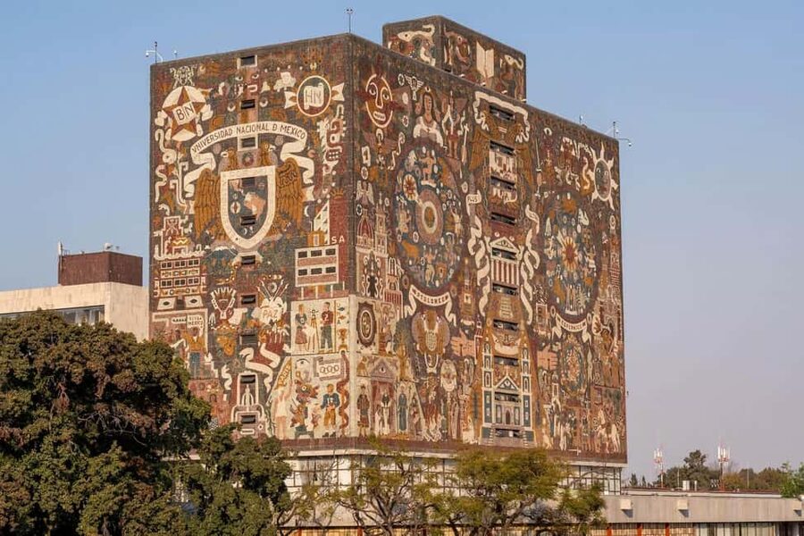 CDMX: Coyoacán, UNAM, Xochimilco, and optional Frida Kahlo Museum - One day, four different CDMX vibes