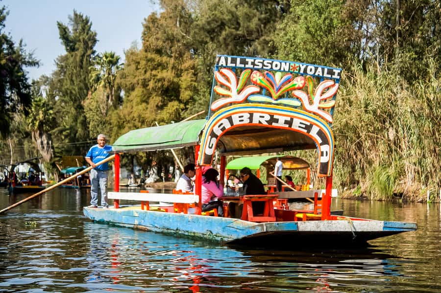 CDMX: Xochimilco, Coyoacan with Frida Kahlo & Optional Lunch - UNAM’s Central Library and Diego Rivera Murals: Where Scale Matters