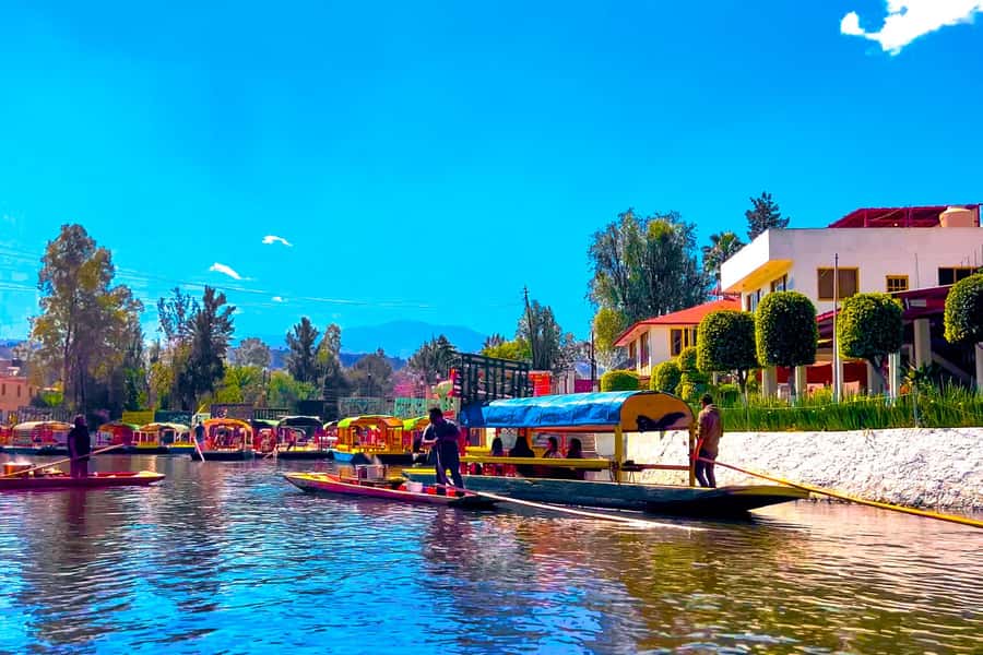 CDMX: Xochimilco Trajinera Party, Drinks, Mariachi & Snacks - Mariachi on the Canal: A Live Music Moment You Can Time Your Photos To