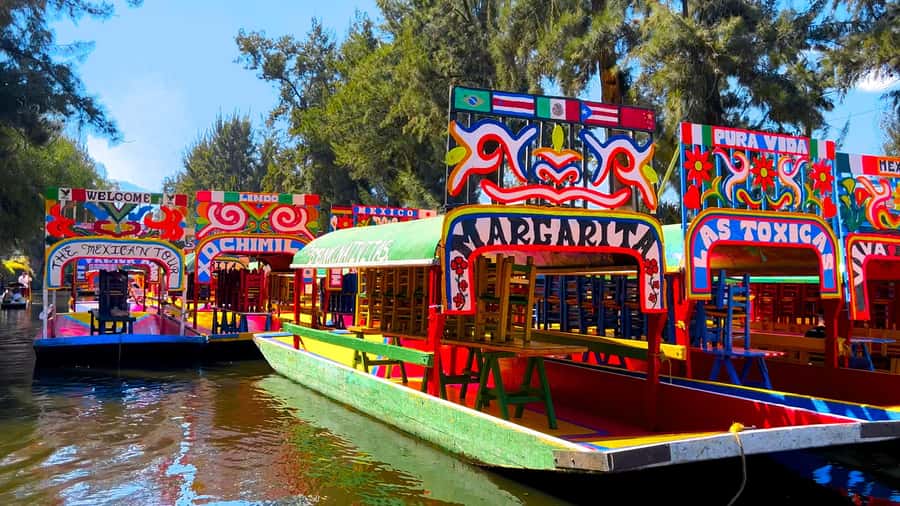 CDMX: Xochimilco Trajinera Party, Drinks, Mariachi & Snacks - Price and Value: Is $49 Worth It?