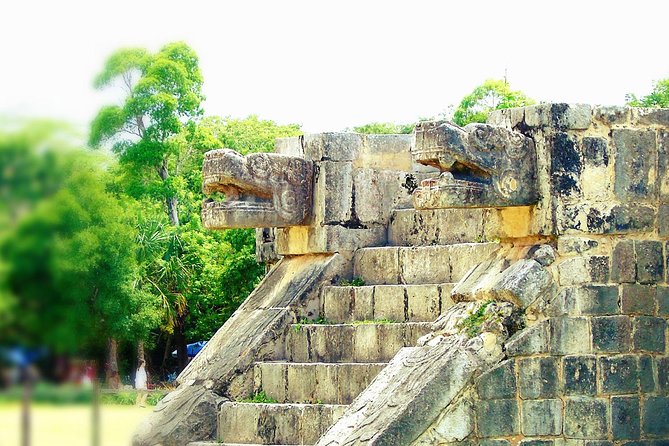 Chichen Itza, Suytun and Ik-Kil Cenote - Stop 3, Cenote Ik Kil: famous for a reason, but expect real swim conditions