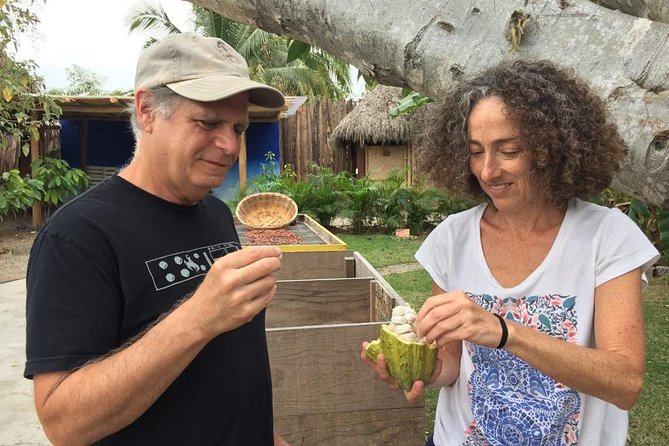 Chocolate Tour in Vallarta - The cacao garden walk: pods, trees, and cultural context