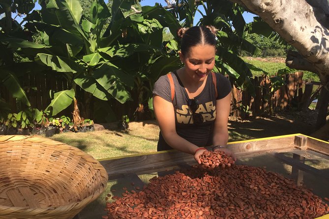 Chocolate Tour in Vallarta - Who should book this tour (and who might skip it)