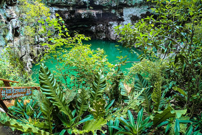 Choose your experience to live in Los 7 Cenotes San Gerónimo - Entering Los 7 Cenotes San Gerónimo from the Church in Sotuta