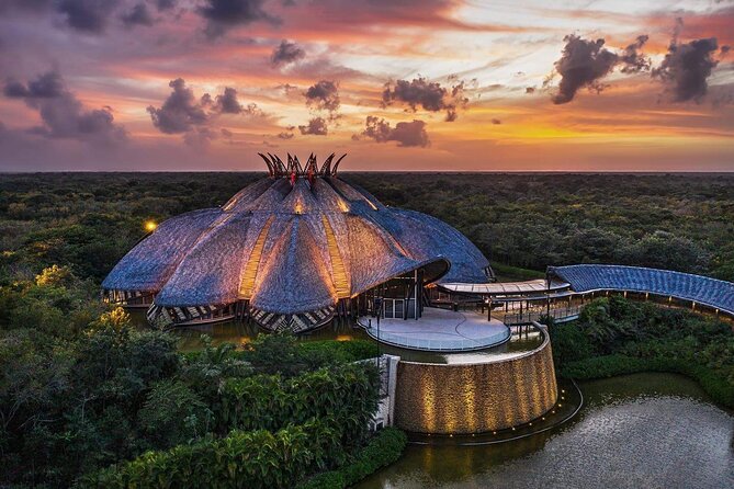 Cirque du Soleil JOYÀ Admission Tickets - The story onstage: monarch vibes, a jungle mystery, and meaning of life