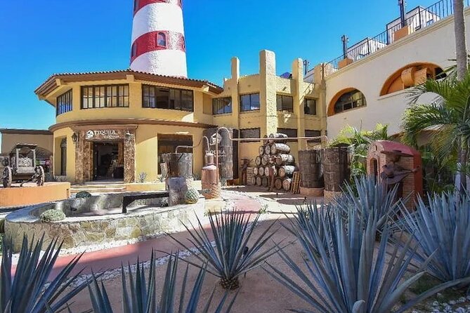 CityTour to San Jose, Cabo San Lucas and Arch Tour in Clearboat - Clearboat Arch Tour: the real reason to book